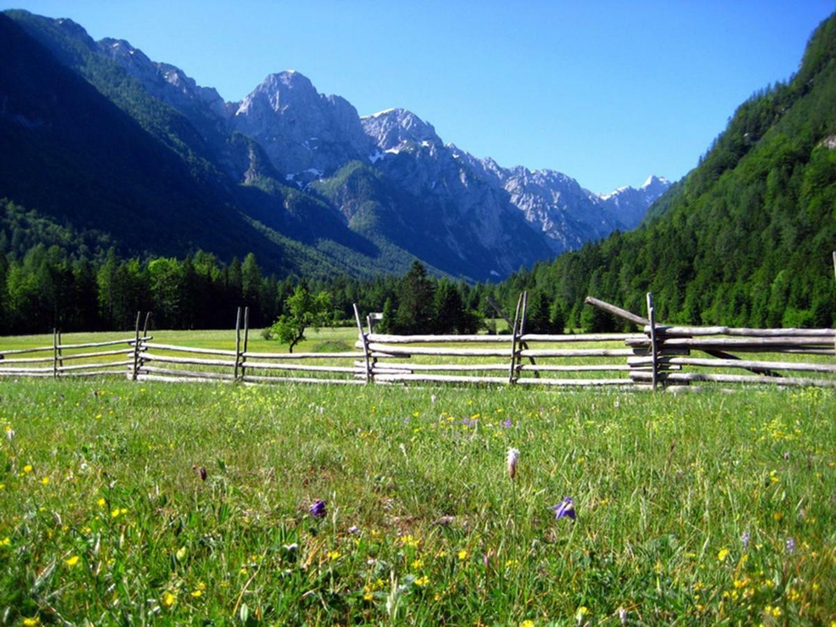 Chalet Via Mons Mojstrana Ngoại thất bức ảnh